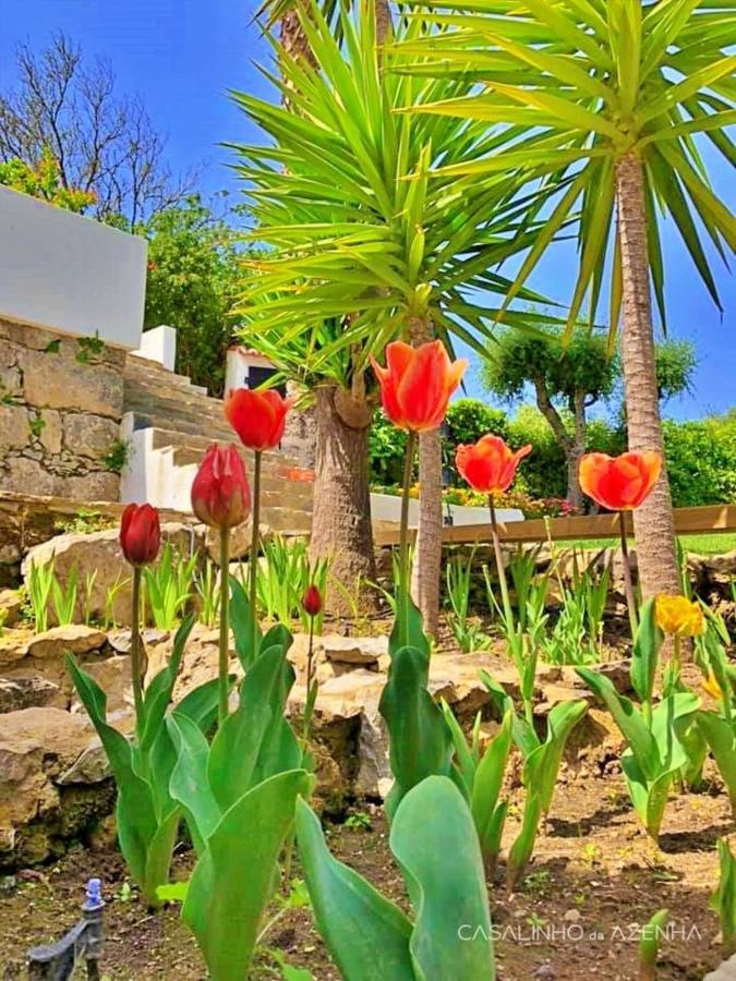 Casalinho Da Azenha - Charm House Hotel Sintra Luaran gambar